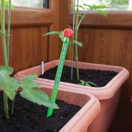 Soil thermometer